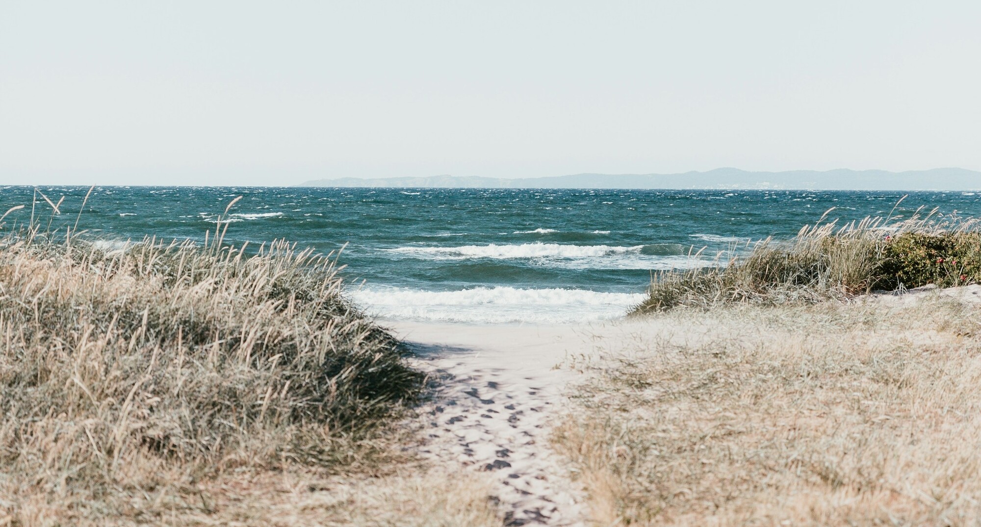 mobycenter-background-marques.jpg mobycenter-background-marques.jpg